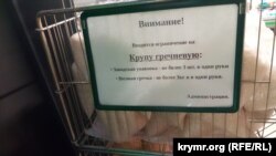 Объявление об ограничении продажи гречки в магазине «Яблоко» в Ялте, 9 марта 2022 года